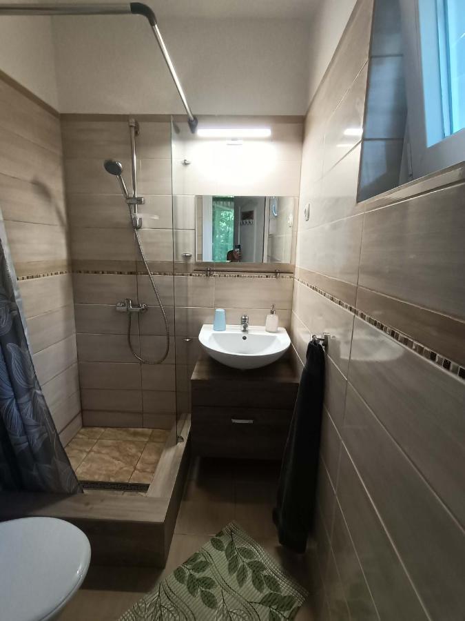 فندق Toelgyfa Vendeghaz بالاتونزيبيد المظهر الخارجي الصورة